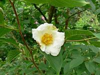 28-06-2006_12-48-38_24