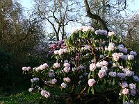 01-05-2006_07-48-38_198