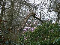 03-05-2006_06-20-13_98