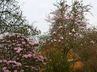 03-05-2006_06-22-15_132