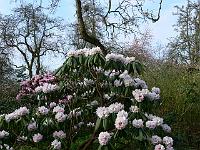 03-05-2006_09-14-47_44