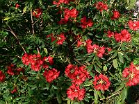 03-05-2007_08-33-46_43