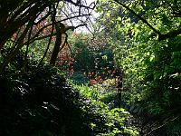 03-05-2007_08-35-03_65