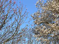 04-05-2006_07-53-56_29