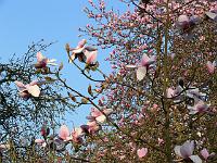 04-05-2006_08-01-24_146