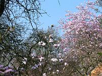 04-05-2006_09-46-12_01