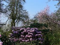 04-05-2006_09-46-37_08