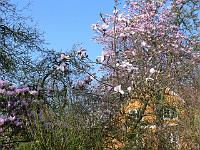 04-05-2006_09-48-03_31