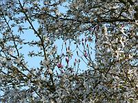 04-05-2006_18-22-39_10