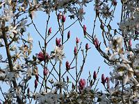 04-05-2006_21-43-22_04