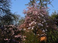 05-05-2006_07-52-23_23