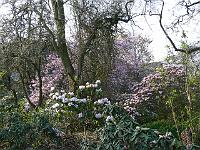 05-05-2006_21-20-20_51