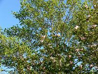 05-05-2007_18-44-38_188