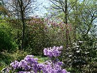 06-05-2008_22-13-11_115