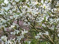 07-05-2006_09-27-10_82