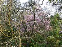 07-05-2006_09-29-15_119