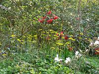 07-05-2006_09-29-32_123