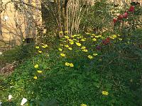 07-05-2006_09-31-11_150c