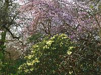 07-05-2006_09-32-32_172c