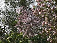 07-05-2006_09-33-08_181c