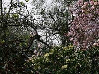 07-05-2006_09-33-27_186