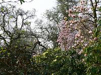 07-05-2006_09-34-00_195