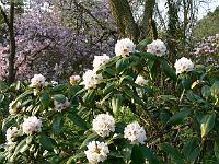 07-05-2006_19-13-58_141