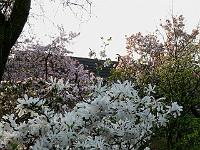 07-05-2006_19-18-22_213c