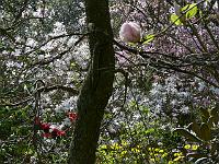 08-05-2006_11-31-53_351