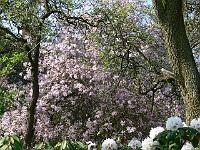 08-05-2006_17-50-35_81