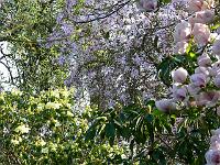 08-05-2006_17-55-55_164