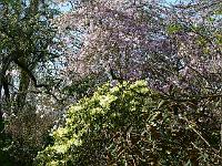 09-05-2006_08-55-40_50