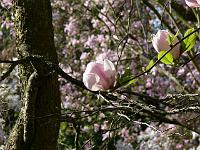 09-05-2006_08-56-23_61