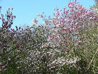 09-05-2006_09-10-50_03