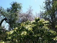 09-05-2006_15-13-19_39