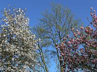 09-05-2006_19-03-26_09