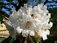 09-05-2006_19-16-19_216