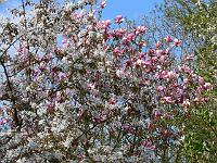 10-05-2006_09-02-12_07