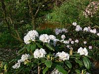 10-05-2006_09-05-35_49