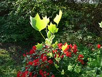 11-05-2006_09-59-57_61