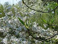 11-05-2006_11-36-42_57