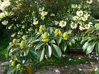 12-05-2006_09-26-12_117