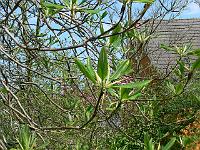 12-05-2006_13-04-35_258