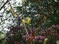 12-05-2006_18-06-24_26