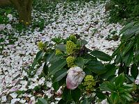 12-05-2006_18-20-58_240