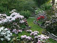 12-05-2006_19-37-42_171