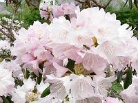 13-05-2006_10-53-13_168