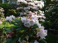 14-05-2006_08-26-42_231