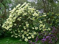 17-05-2006_09-15-09_52