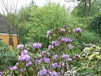 17-05-2006_18-24-38_09